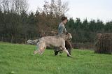 ADULTE ET CHIEN 486
